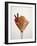 Mousse Au Chocolat with Chocolate Rolls and Cocktail Cherry-Brigitte Wegner-Framed Photographic Print