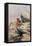 Moussier's Redstart-Carl Donner-Framed Premier Image Canvas