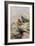 Moussier's Redstart-Carl Donner-Framed Giclee Print