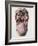 Mouth And Tongue Nerves-Mehau Kulyk-Framed Photographic Print