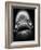 Mouth of Fish-Henry Horenstein-Framed Photographic Print