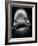 Mouth of Fish-Henry Horenstein-Framed Photographic Print