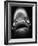 Mouth of Fish-Henry Horenstein-Framed Photographic Print