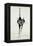 Move Quietly, C.1962-George Adamson-Framed Giclee Print