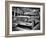 Move Up-Stephen Arens-Framed Photographic Print