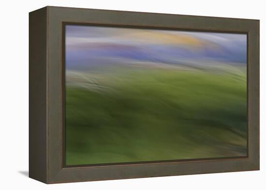 Moved Landscape 6040-Rica Belna-Framed Premier Image Canvas