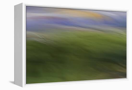 Moved Landscape 6040-Rica Belna-Framed Premier Image Canvas