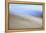 Moved Landscape 6047-Rica Belna-Framed Premier Image Canvas