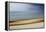 Moved Landscape 6477-Rica Belna-Framed Premier Image Canvas