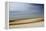 Moved Landscape 6477-Rica Belna-Framed Premier Image Canvas