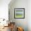 Moved Landscape 6482-Rica Belna-Framed Giclee Print displayed on a wall