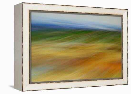 Moved Landscape 6491-Rica Belna-Framed Premier Image Canvas