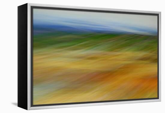 Moved Landscape 6491-Rica Belna-Framed Premier Image Canvas