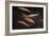 Movement 1-Moises Levy-Framed Photographic Print