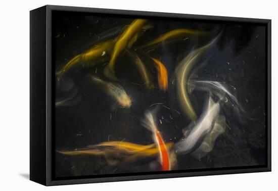 Movement 2-Moises Levy-Framed Premier Image Canvas