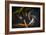 Movement 2-Moises Levy-Framed Photographic Print