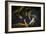 Movement 2-Moises Levy-Framed Photographic Print