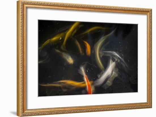 Movement 2-Moises Levy-Framed Photographic Print