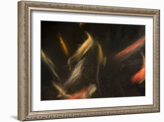 Movement 3-Moises Levy-Framed Photographic Print