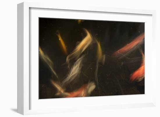 Movement 3-Moises Levy-Framed Photographic Print