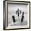 Movement-Moises Levy-Framed Photographic Print