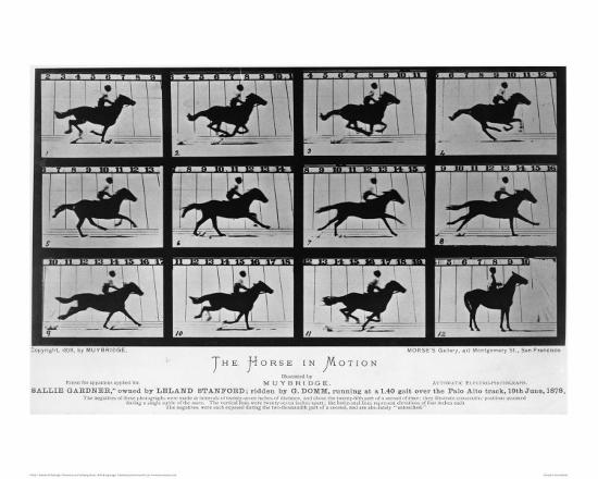 Movements Of A Galloping Horse Giclee Print Eadweard Muybridge Art Com Movements Of A Galloping Horse Giclee Print Eadweard Muybridge Art Com