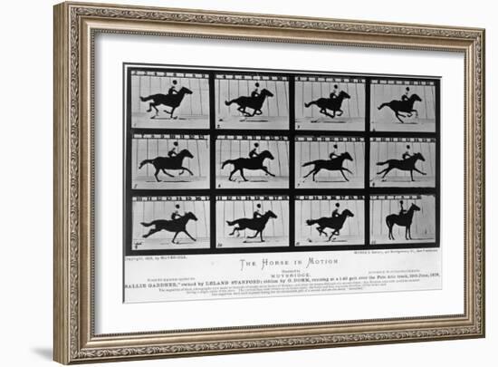 Movements of a Galloping Horse-Eadweard Muybridge-Framed Giclee Print