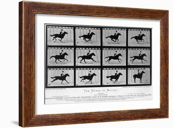 Movements of a Galloping Horse-Eadweard Muybridge-Framed Giclee Print