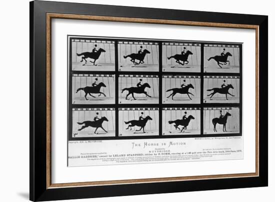 Movements of a Galloping Horse-Eadweard Muybridge-Framed Giclee Print