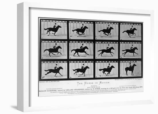 Movements of a Galloping Horse-Eadweard Muybridge-Framed Giclee Print