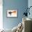 Movie Camera Rainbow-Florent Bodart-Framed Premium Giclee Print displayed on a wall