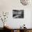 Movie Director Cecil B. Demille Sitting in His Office at Desk-Peter Stackpole-Premium Photographic Print displayed on a wall