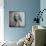 Movie Starlet Marilyn Monroe Posing in Studio-J^ R^ Eyerman-Premium Photographic Print displayed on a wall