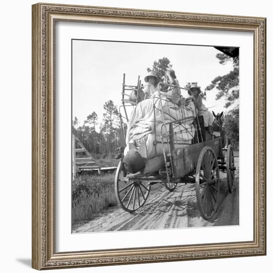 Moving day in the turpentine pine forest of North Florida, 1936-Dorothea Lange-Framed Photographic Print