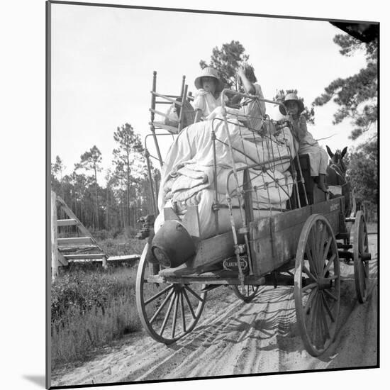 Moving day in the turpentine pine forest of North Florida, 1936-Dorothea Lange-Mounted Photographic Print