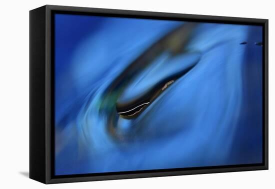 Moving down-Heidi Westum-Framed Premier Image Canvas