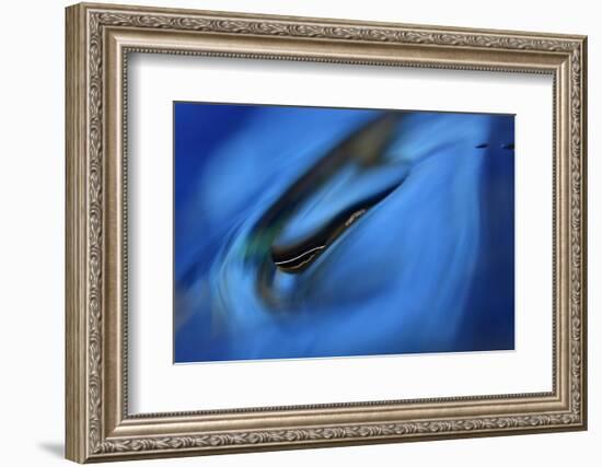 Moving down-Heidi Westum-Framed Photographic Print