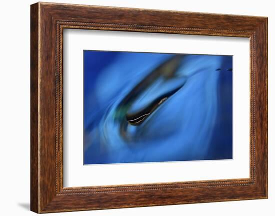 Moving down-Heidi Westum-Framed Photographic Print