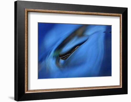 Moving down-Heidi Westum-Framed Photographic Print