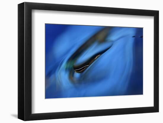 Moving down-Heidi Westum-Framed Photographic Print