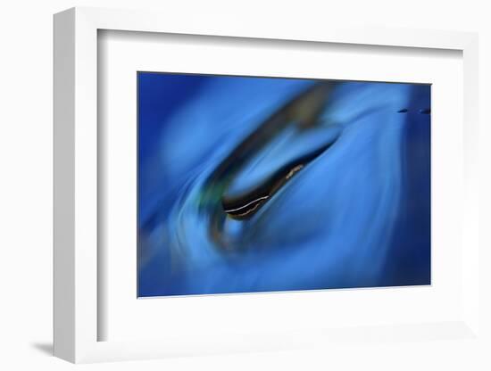 Moving down-Heidi Westum-Framed Photographic Print