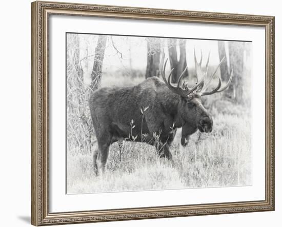 Moving On - Vintage-Wink Gaines-Framed Giclee Print