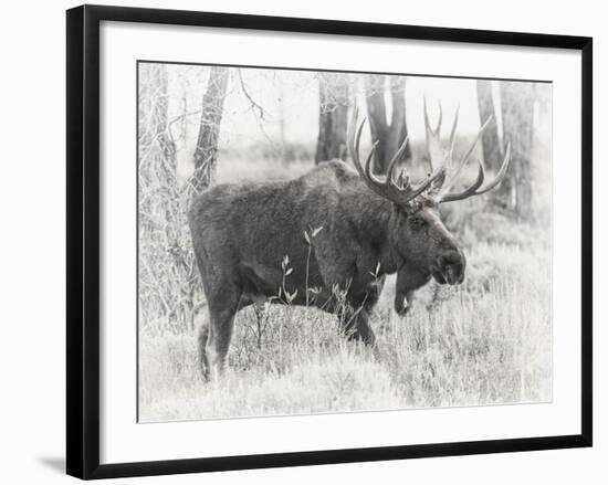 Moving On - Vintage-Wink Gaines-Framed Giclee Print