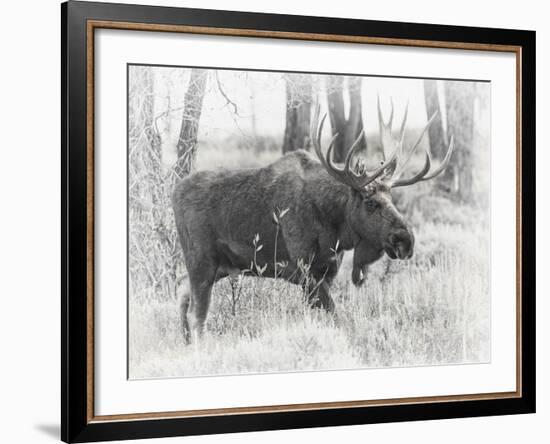 Moving On - Vintage-Wink Gaines-Framed Giclee Print