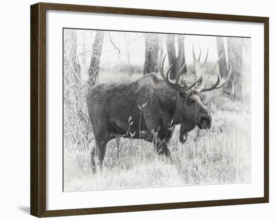 Moving On - Vintage-Wink Gaines-Framed Giclee Print