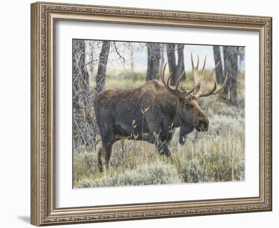 Moving On-Wink Gaines-Framed Giclee Print