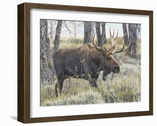 Moving On-Wink Gaines-Framed Giclee Print