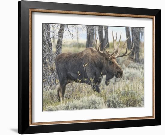 Moving On-Wink Gaines-Framed Giclee Print