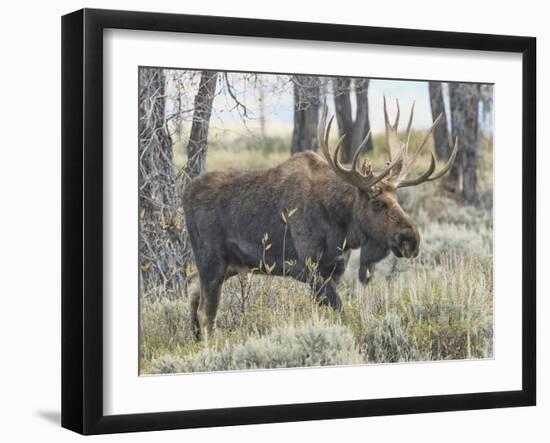 Moving On-Wink Gaines-Framed Giclee Print