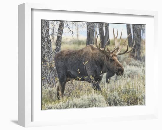 Moving On-Wink Gaines-Framed Giclee Print